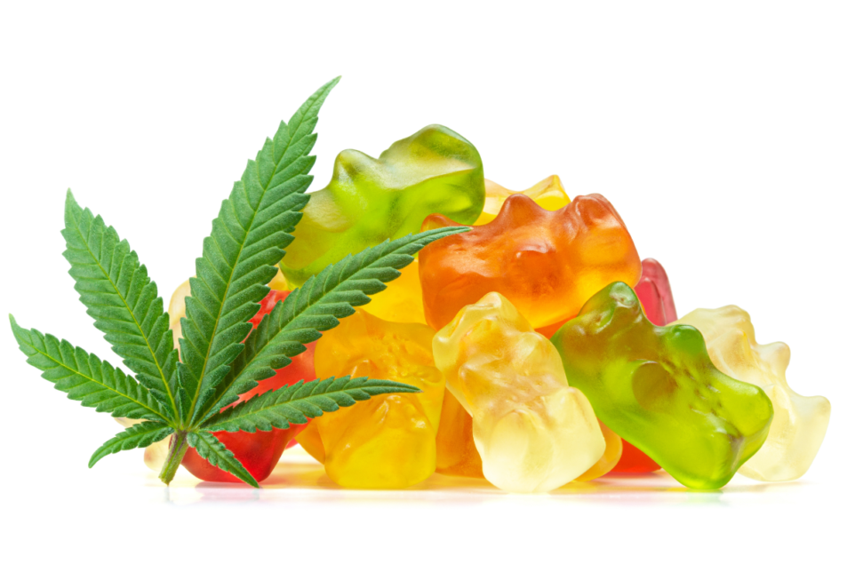 A Taste of Innovation: CBD vs. THC Gummies in Today's Market